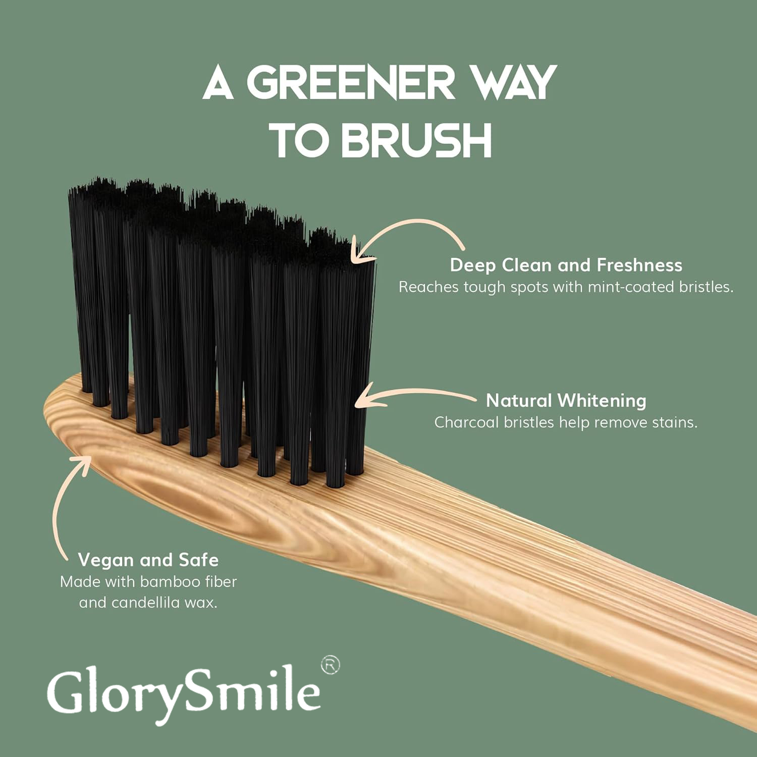 Bamboo Toothbrushes for Adults - đánh giá và giá Bamboo Toothbrush
